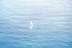volosulmare_b-02_edited