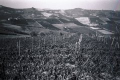 langhe