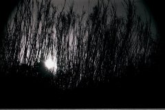 silouette-canneto