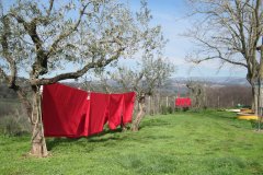 lenzuola-rosse_1