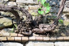 langhe-c14_IMG_0070