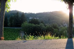 langhe-c8_IMG_0823